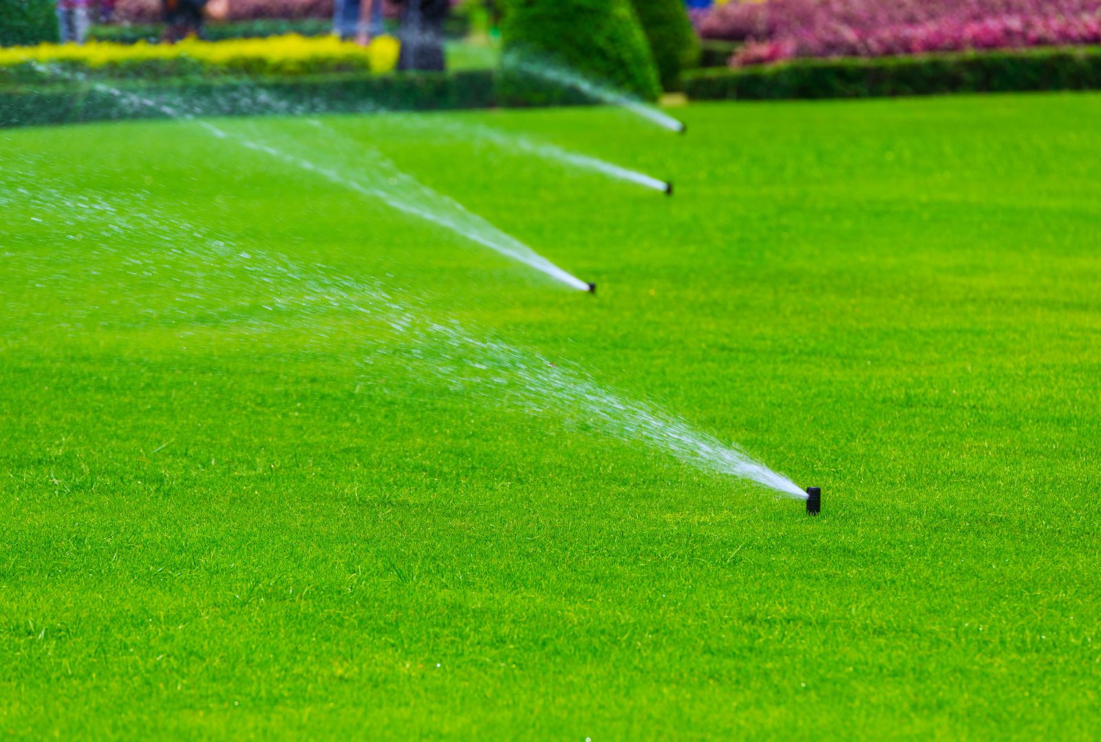 commercial landscape irrigation services in twin cities mn
